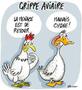 Logo grippe aviaire